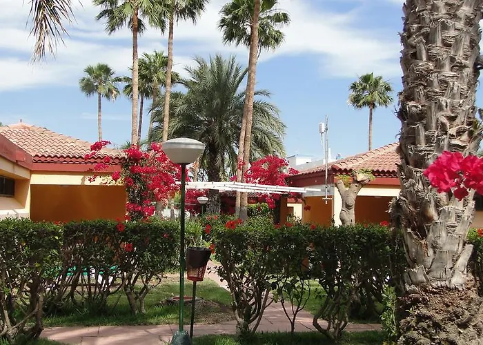 Artemisa Gay Men Only * Playa del Ingles (Gran Canaria)