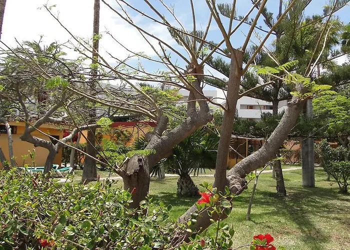 Apartment Artemisa Gay Men Only *